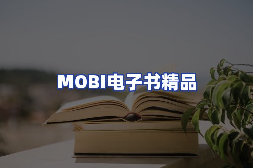 外文电子书产品